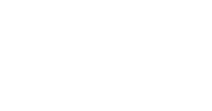 Portal da Pedra logo white
